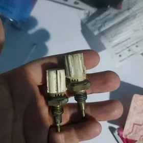 suw datcik gok datcik