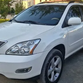Lexus RX 330 2004
