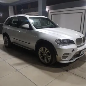 BMW X5 2010