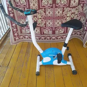 Tigir öyde sürülyân