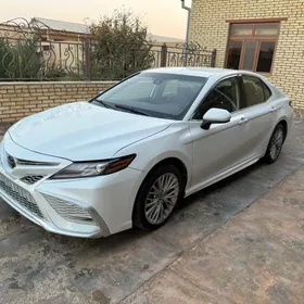 Toyota Camry 2020