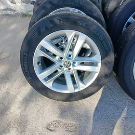 21Carola argynal disga teker16