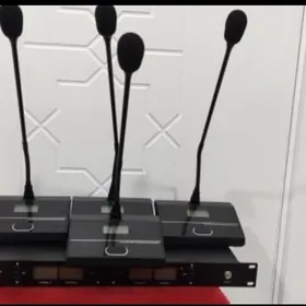 STOLDA GOYULYAN MIKRAFON