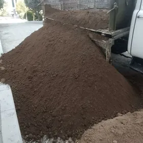 MITI ders sement cage gum