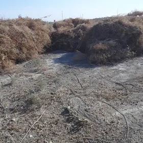 сатльк от catlyk ot