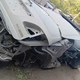 bagaz lexsus rx 300/330