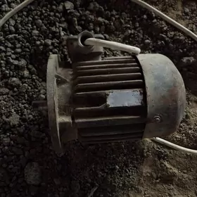 dwigatel filyansyvyý