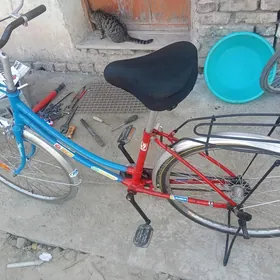 24 лик велосипед