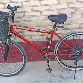 Sportiwnyý welosiped