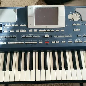korg pa800