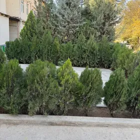 30 микрорайон 2 комнаты 1 этаж