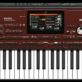 Korg pa700 oriental