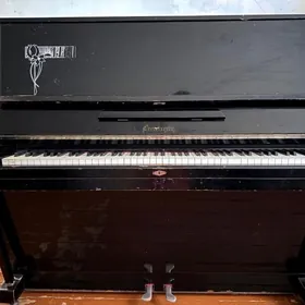 FORTEPIÝANO ADY: AKKORD