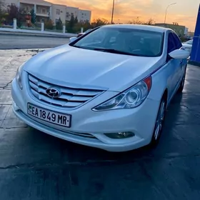 Hyundai Sonata 2010