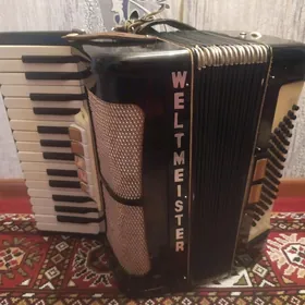 akkardeon Weltmeister