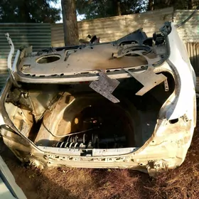 kyrlo yz okuz kelle krysa 2010