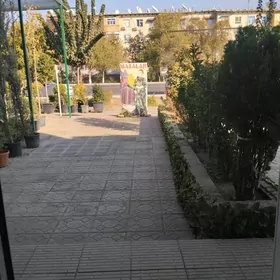 тикинчилик