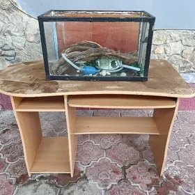 Stol, Akwariyum bilen zatlary