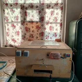 жуйже чыкарылян энжам.