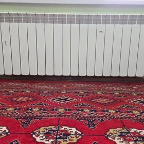 ATAPLENYA BATAREY  KATYOL