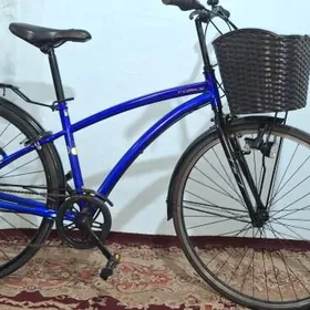 tigir 27 ÿaposga welo