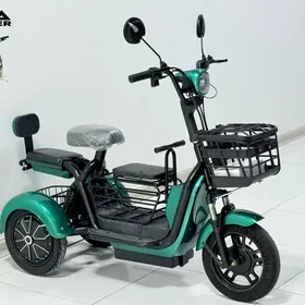 TIGIR SAMAKAT MATOR KALYASGA