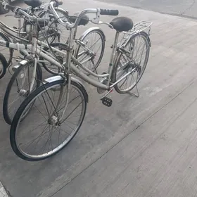 Welosepet  Tigir  Panasonik