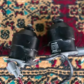 lopus matorcik aziada