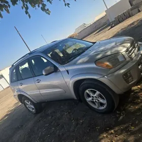 Toyota RAV4 2002