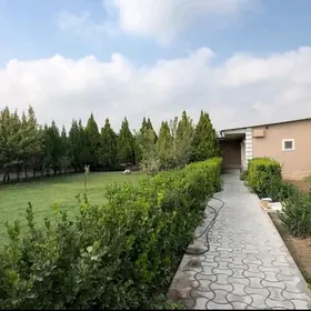 Багир Миреве