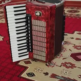 akkordeon