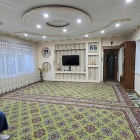 Киров Рухыет кошки 16сот 5ком