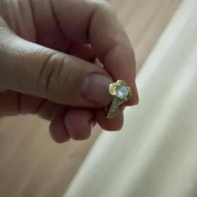 Halkan 1 taýy ýitdi.