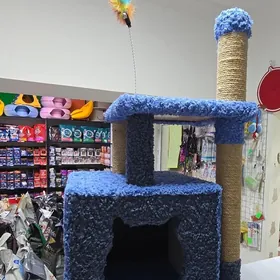 когтеточки