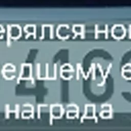 машинын номеры 41 69 лб