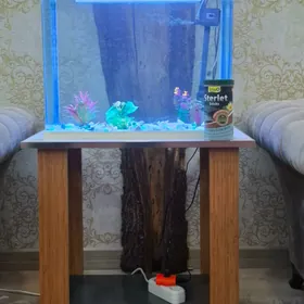 aquarium,Аквариум