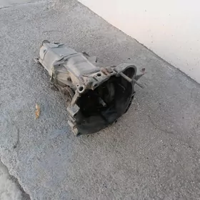 karopka moskavic2141