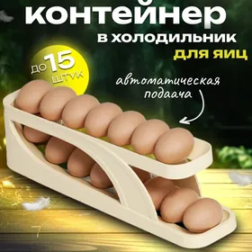 Ỳumurtga goýulýan