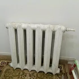 ataplenýa batareýka