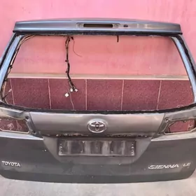 Дути Сиенна Багач