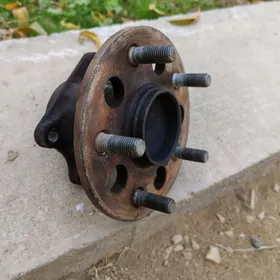 Leхus stupisa baraban