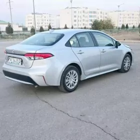 Toyota Corolla 2019