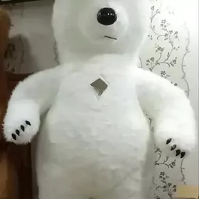 Içine girilýän aýy