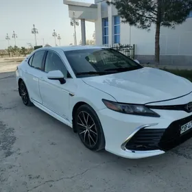 Toyota Camry 2021