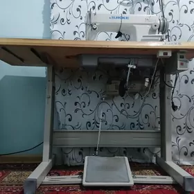 tikin masyn ady jukki