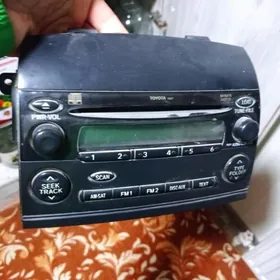 magnitafon zawodskoy sienna