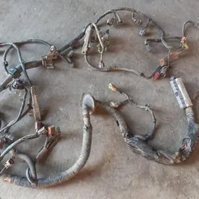 ниссан максима