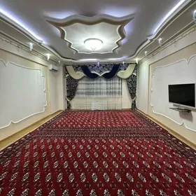 Anew Satlyk pol elitga