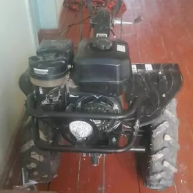 Ýer surýan tyrahtyr