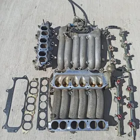 pathfinder 3.5 паук сбор